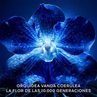 Orchidée Impériale La Crema Rica de Longevidad 50ml-231341 Orchidée Impériale La Crema Rica de Longevidad 50ml-231341 5